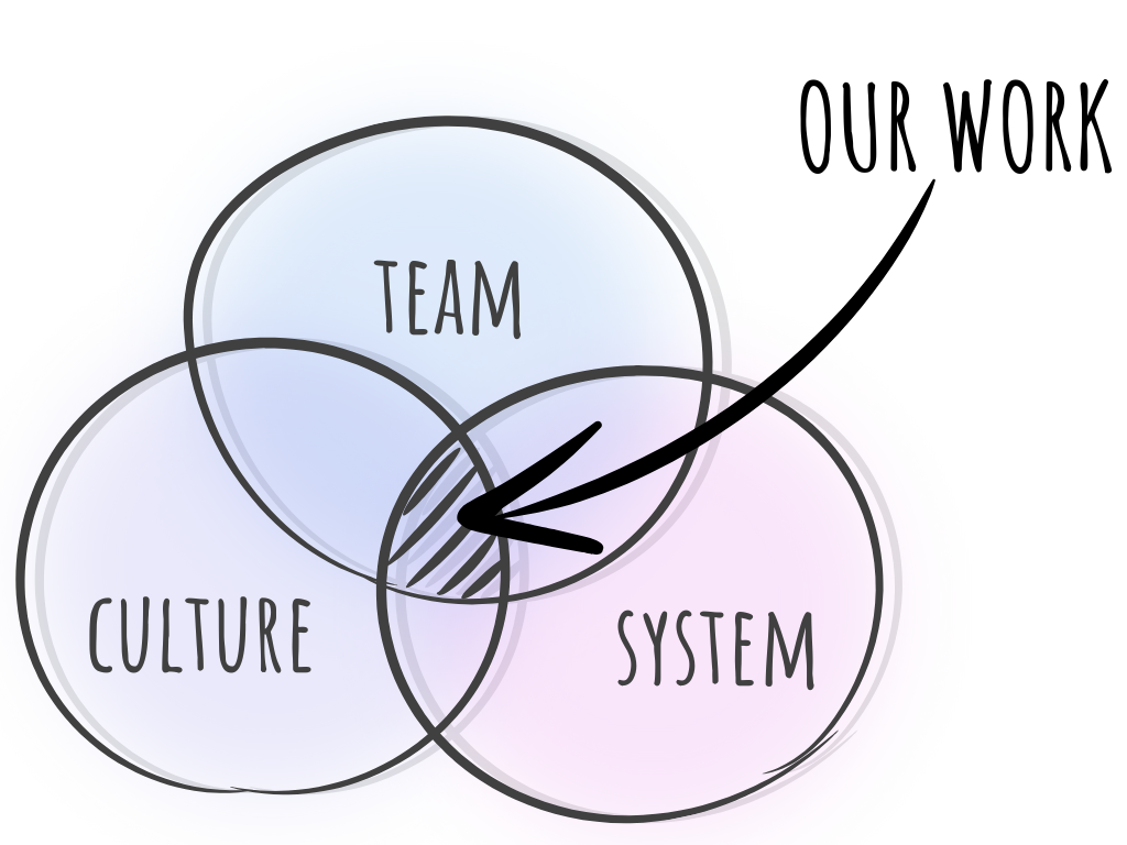 Working at the Intersection of Team System and Culture