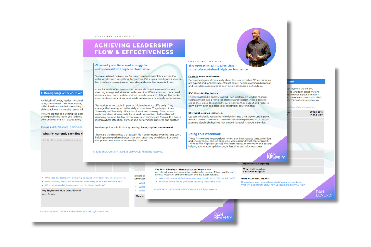 Download Your Leadership Flow and Effectiveness Workbook